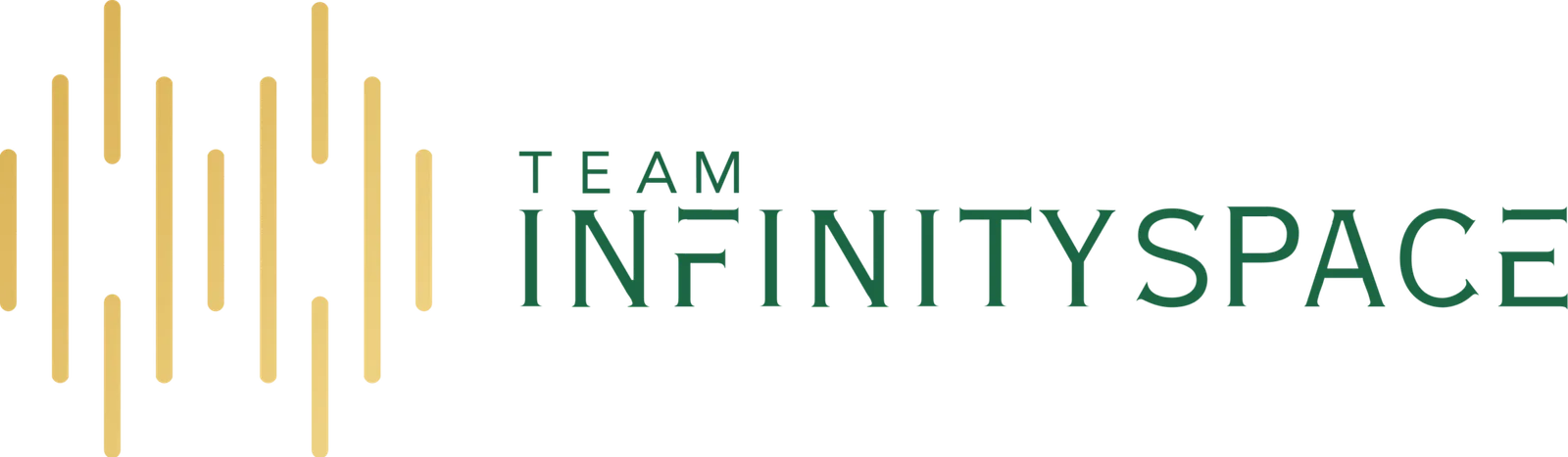 Teaminfinityspace